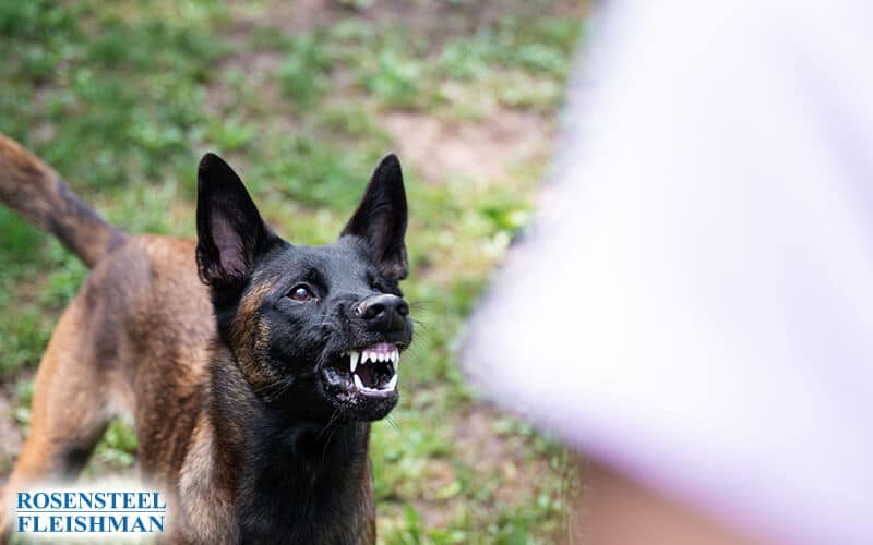 fresno dog bite attorney