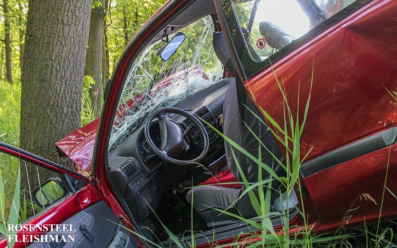 Car Accident Crash in the Woods Among Trees