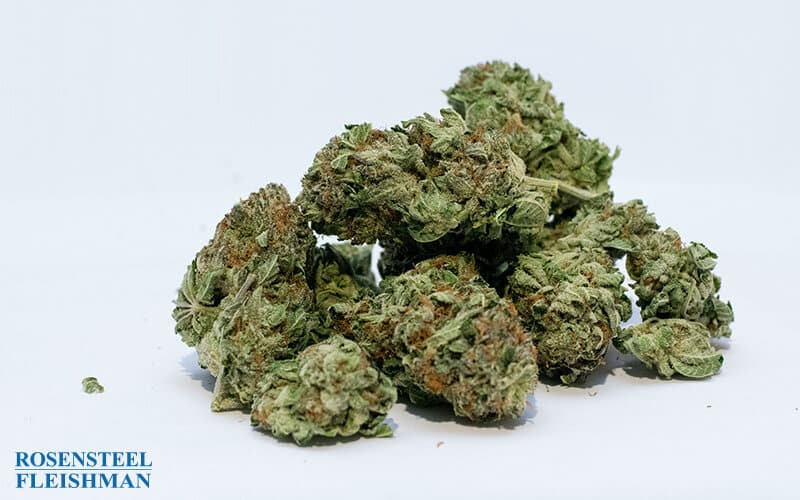 Marijuana Weed Bud
